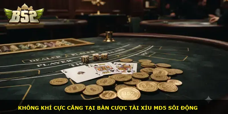 Volta MD5 B52 CLUB - ảnh 1