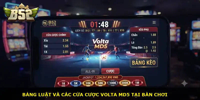 Volta MD5 B52 CLUB - ảnh 2